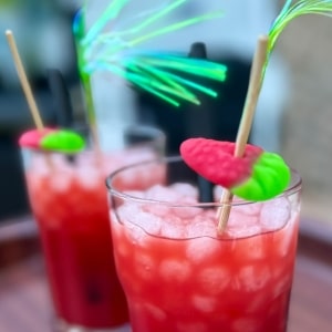 CocktailShuttle Mallorca