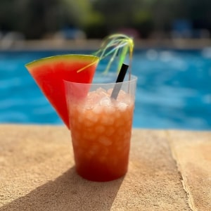 CocktailShuttle Mallorca